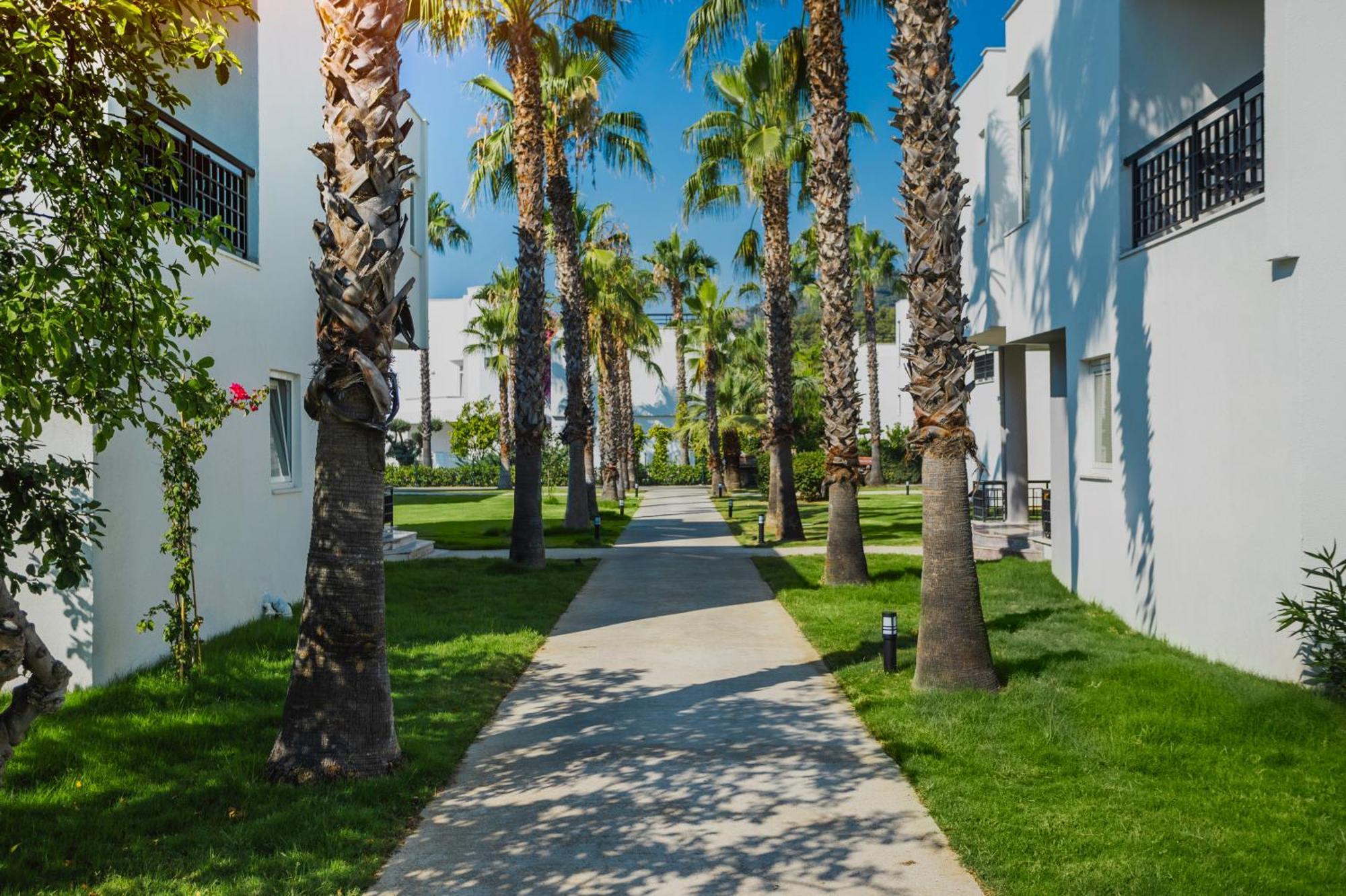 Simena Comfort Hotel Kemer Eksteriør bilde